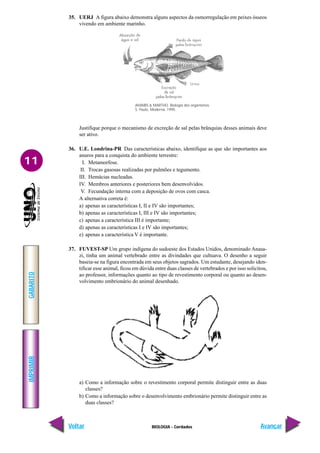 IMPRIMIR
Voltar
GABARITO
Avançar
11
BIOLOGIA - Cordados
35. UERJ A figura abaixo demonstra alguns aspectos da osmorregulação em peixes ósseos
vivendo em ambiente marinho.
Justifique porque o mecanismo de excreção de sal pelas brânquias desses animais deve
ser ativo.
36. U.E. Londrina-PR Das características abaixo, identifique as que são importantes aos
anuros para a conquista do ambiente terrestre:
I. Metamorfose.
II. Trocas gasosas realizadas por pulmões e tegumento.
III. Hemácias nucleadas.
IV. Membros anteriores e posteriores bem desenvolvidos.
V. Fecundação interna com a deposição de ovos com casca.
A alternativa correta é:
a) apenas as características I, II e IV são importantes;
b) apenas as características I, III e IV são importantes;
c) apenas a característica III é importante;
d) apenas as características I e IV são importantes;
e) apenas a característica V é importante.
37. FUVEST-SP Um grupo indígena do sudoeste dos Estados Unidos, denominado Anasa-
zi, tinha um animal vertebrado entre as divindades que cultuava. O desenho a seguir
baseia-se na figura encontrada em seus objetos sagrados. Um estudante, desejando iden-
tificar esse animal, ficou em dúvida entre duas classes de vertebrados e por isso solicitou,
ao professor, informações quanto ao tipo de revestimento corporal ou quanto ao desen-
volvimento embrionário do animal desenhado.
AMABIS & MARTHO. Biologia dos organismos.
S. Paulo, Moderna, 1995.
a) Como a informação sobre o revestimento corporal permite distinguir entre as duas
classes?
b) Como a informação sobre o desenvolvimento embrionário permite distinguir entre as
duas classes?
 