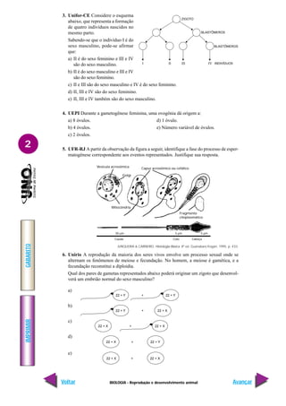 BIOLOGIA - Reprodução e desenvolvimento animal
IMPRIMIR
Voltar
GABARITO
Avançar
2
3. Unifor-CE Considere o esquema
abaixo, que representa a formação
de quatro indivíduos nascidos no
mesmo parto.
Sabendo-se que o indivíduo I é do
sexo masculino, pode-se afirmar
que:
a) II é do sexo feminino e III e IV
são do sexo masculino.
b) II é do sexo masculino e III e IV
são do sexo feminino.
c) II e III são do sexo masculino e IV é do sexo feminino.
d) II, III e IV são do sexo feminino.
e) II, III e IV também são do sexo masculino.
4. UEPI Durante a gametogênese feminina, uma ovogônia dá origem a:
a) 8 óvulos. d) 1 óvulo.
b) 4 óvulos. e) Número variável de óvulos.
c) 2 óvulos.
5. UFR-RJ A partir da observação da figura a seguir, identifique a fase do processo de esper-
matogênese correspondente aos eventos representados. Justifique sua resposta.
IV
III
II
I
ZIGOTO
BLASTÔMEROS
BLASTÔMEROS
INDIVÍDUOS
22 + Y 22 + Y
+
22 + Y 22 + X
+
22 + X 22 + X
+
22 + X + 22 + Y
22 + X + 22 + X
JUNQUEIRA & CARNEIRO. Histologia Básica. 8ª ed. Guanabara Kogan, 1995. p. 433.
6. Unirio A reprodução da maioria dos seres vivos envolve um processo sexual onde se
alternam os fenômenos de meiose e fecundação. No homem, a meiose é gamética, e a
fecundação reconstitui a diploidia.
Qual dos pares de gametas representados abaixo poderá originar um zigoto que desenvol-
verá um embrião normal do sexo masculino?
a)
b)
c)
d)
e)
Cauda Colo Cabeça
50 µm 5 µm 5 µm
Fragmento
citoplasmático
Mitocôndria
Golgi
Vesícula acrosômica Capuz acrosômico ou cefálico
 