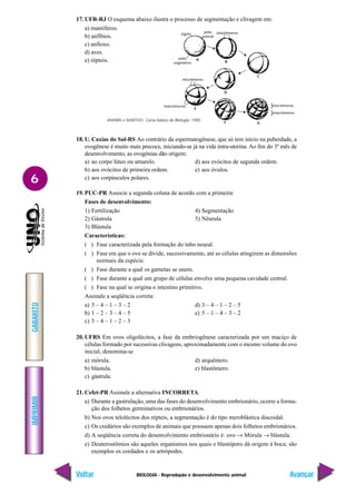 BIOLOGIA - Reprodução e desenvolvimento animal
IMPRIMIR
Voltar
GABARITO
Avançar
6
17. UFR-RJ O esquema abaixo ilustra o processo de segmentação e clivagem em:
a) mamíferos.
b) anfíbios.
c) anfioxo.
d) aves.
e) répteis.
18. U. Caxias do Sul-RS Ao contrário da espermatogênese, que só tem início na puberdade, a
ovogênese é muito mais precoce, iniciando-se já na vida intra-uterina. Ao fim do 3º mês de
desenvolvimento, as ovogônias dão origem:
a) ao corpo lúteo ou amarelo. d) aos ovócitos de segunda ordem.
b) aos ovócitos de primeira ordem. e) aos óvulos.
c) aos corpúsculos polares.
19. PUC-PR Associe a segunda coluna de acordo com a primeira:
Fases de desenvolvimento:
1) Fertilização 4) Segmentação
2) Gástrula 5) Nêurula
3) Blástula
Características:
( ) Fase caracterizada pela formação do tubo neural.
( ) Fase em que o ovo se divide, sucessivamente, até as células atingirem as dimensões
normais da espécie.
( ) Fase durante a qual os gametas se unem.
( ) Fase durante a qual um grupo de células envolve uma pequena cavidade central.
( ) Fase na qual se origina o intestino primitivo.
Assinale a seqüência correta:
a) 5 – 4 – 1 – 3 – 2 d) 3 – 4 – 1 – 2 – 5
b) 1 – 2 – 3 – 4 – 5 e) 5 – 1 – 4 – 3 – 2
c) 5 – 4 – 1 – 2 – 3
20. UFRS Em ovos oligolécitos, a fase da embriogênese caracterizada por um maciço de
células formado por sucessivas clivagens, aproximadamente com o mesmo volume do ovo
inicial, denomina-se
a) mórula. d) arquêntero.
b) blástula. e) blastômero.
c) gástrula.
21. Cefet-PR Assinale a alternativa INCORRETA.
a) Durante a gastrulação, uma das fases do desenvolvimento embrionário, ocorre a forma-
ção dos folhetos germinativos ou embrionários.
b) Nos ovos telolécitos dos répteis, a segmentação é do tipo meroblástica discoidal.
c) Os cnidários são exemplos de animais que possuem apenas dois folhetos embrionários.
d) A seqüência correta do desenvolvimento embrionário é: ovo → Mórula → blástula.
e) Deuterostômios são aqueles organismos nos quais o blastóporo dá origem à boca; são
exemplos os cordados e os artrópodes.
zigoto
pólo
animal
blastômeros
pólo
vegetativo
micrômeros
macrômeros }micrômeros
}macrômeros
A
B
C
D
E
F G
AMABIS e MARTHO. Curso básico de Biologia. 1985.
 