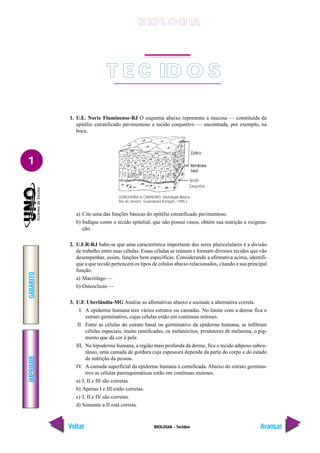BIOLOGIA - Tecidos
IMPRIMIR
Voltar
GABARITO
Avançar
1
1. U.E. Norte Fluminense-RJ O esquema abaixo representa a mucosa — constituída de
epitélio estratificado pavimentoso e tecido conjuntivo — encontrada, por exemplo, na
boca.
a) Cite uma das funções básicas do epitélio estratificado pavimentoso.
b) Indique como o tecido epitelial, que não possui vasos, obtém sua nutrição e oxigena-
ção.
2. U.F.R-RJ Sabe-se que uma característica importante dos seres pluricelulares é a divisão
de trabalho entre suas células. Essas células se reúnem e formam diversos tecidos que vão
desempenhar, assim, funções bem específicas. Considerando a afirmativa acima, identifi-
que a que tecido pertencem os tipos de células abaixo relacionados, citando a sua principal
função.
a) Macrófago —
b) Osteoclasto —
3. U.F. Uberlândia-MG Analise as afirmativas abaixo e assinale a alternativa correta.
I. A epiderme humana tem vários estratos ou camadas. No limite com a derme fica o
estrato germinativo, cujas células estão em contínuas mitoses.
II. Entre as células do estrato basal ou germinativo da epiderme humana, se infiltram
células especiais, muito ramificadas, os melanócitos, produtores de melanina, o pig-
mento que dá cor à pele.
III. Na hipoderme humana, a região mais profunda da derme, fica o tecido adiposo subcu-
tâneo, uma camada de gordura cuja espessura depende da parte do corpo e do estado
de nutrição da pessoa.
IV. A camada superficial da epiderme humana é cornificada. Abaixo do estrato germina-
tivo as células parenquimáticas estão em contínuas meioses.
a) I, II e III são corretas.
b) Apenas I e III estão corretas.
c) I, II e IV são corretas.
d) Somente a II está correta.
(JUNQUEIRA & CARNEIRO. Histologia Básica.
Rio de Janeiro: Guanabara Koogan, 1995.)
T E C ID O S
B IO L O GIA
 