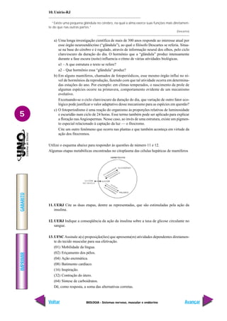 BIOLOGIA - Sistemas nervoso, muscular e endócrino
IMPRIMIR
Voltar
GABARITO
Avançar
5
10. Unirio-RJ
“Existe uma pequena glândula no cérebro, na qual a alma exerce suas funções mais diretamen-
te do que nas outras partes.”
(Descartes)
a) Uma longa investigação científica de mais de 300 anos responde ao interesse atual por
esse órgão neuroendócrino (“glândula”), ao qual o filósofo Descartes se referia. Situa-
se na base do cérebro e é regulado, através de informação neural dos olhos, pelo ciclo
claro/escuro da duração do dia. O hormônio que a “glândula” produz intensamente
durante a fase escura (noite) influencia o ritmo de várias atividades biológicas.
a1 – A que estrutura o texto se refere?
a2 – Que hormônio essa “glândula” produz?
b) Em alguns mamíferos, chamados de fotoperiódicos, esse mesmo órgão influi no ní-
vel de hormônios da reprodução, fazendo com que tal atividade ocorra em determina-
das estações do ano. Por exemplo: em climas temperados, o nascimento da prole de
algumas espécies ocorre na primavera, comportamento evidente de um mecanismo
evolutivo.
Excetuando-se o ciclo claro/escuro da duração do dia, que variação de outro fator eco-
lógico pode justificar o valor adaptativo desse mecanismo para as espécies em questão?
c) O fotoperiodismo é uma reação do organismo às proporções relativas de luminosidade
e escuridão num ciclo de 24 horas. Esse termo também pode ser aplicado para explicar
a floração nasAngiospermas. Nesse caso, ao invés de uma estrutura, existe um pigmen-
to especial relacionado à captação da luz — o fitocromo.
Cite um outro fenômeno que ocorra nas plantas e que também aconteça em virtude da
ação dos fitocromos.
Utilize o esquema abaixo para responder às questões de número 11 e 12.
Algumas etapas metabólicas encontradas no citoplasma das células hepáticas de mamíferos
11. UERJ Cite as duas etapas, dentre as representadas, que são estimuladas pela ação da
insulina.
12. UERJ Indique a conseqüência da ação da insulina sobre a taxa de glicose circulante no
sangue.
13. UFSCAssinale a(s) proposição(ões) que apresenta(m) atividades dependentes diretamen-
te do tecido muscular para sua efetivação.
(01) Mobilidade da língua.
(02) Eriçamento dos pêlos.
(04) Ação enzimática.
(08) Batimento cardíaco.
(16) Inspiração.
(32) Contração do útero.
(64) Síntese de carboidratos.
Dê, como resposta, a soma das alternativas corretas.
 