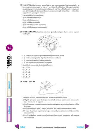 BIOLOGIA - Sistemas nervoso, muscular e endócrino
IMPRIMIR
Voltar
GABARITO
Avançar
12
33. UMC-SP Medidas feitas em uma célula nervosa mostraram significativas variações na
concentração dos íons sódio no interior e no exterior da célula. Essa diferença é mantida à
custa do transporte ativo de íons através da membrana. Essa célula foi, então, tratada com
uma determinada substância, que fez com que a concentração intracelular e a extracelular
se igualassem após alguns minutos.
Essa substância é provavelmente
a) um inibidor de transcrição.
b) um inibidor de mitose.
c) um inibidor de tradução.
d) um inibidor de cadeia respiratória.
e) um inibidor de crescimento celular.
34. MACKENZIE-SP Relacione as estruturas apontadas na figura abaixo, com as respecti-
vas funções.
( ) controle das emoções, percepção sensorial e controle motor.
( ) controle da respiração, digestão e batimentos cardíacos.
( ) controle do equilíbrio e tônus muscular.
( ) liga os hemisférios cerebrais ao cerebelo.
A seqüência encontrada, de cima para baixo, é:
a) 2, 1, 4, 3
b) 4, 2, 1, 3
c) 1, 3, 4, 2
d) 3, 4, 2, 1
e) 3, 2, 1, 4
35. MACKENZIE-SP
A respeito da célula representada acima, assinale a alternativa correta.
a) III pode apresentar-se envolvido por uma camada protéica, que tem como função acele-
rar a transmissão do impulso.
b) Em IV, existem vesículas contendo substâncias capazes de gerar impulsos em células
próximas.
c) I é responsável por gerar a energia necessária para o funcionamento dessa célula.
d) É capaz de gerar um impulso sempre que estimulada, independentemente da intensida-
de do estímulo.
e) I pode estabelecer contato com células musculares, sendo responsável pelo controle
das contrações.
 