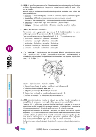 BIOLOGIA - Sistemas nervoso, muscular e endócrino
IMPRIMIR
Voltar
GABARITO
Avançar
17
I
II
III
IV
V
52. UFCE Os hormônios secretados pelas glândulas endócrinas estimulam diversas funções e
atividades dos organismos como, por exemplo, o crescimento e reações de susto e raiva
nos vertebrados.
Assinale a opção inteiramente correta quanto às glândulas secretoras e aos efeitos dos
hormônios indicados.
a) Ocitocina – é liberada na hipófise e acelera as contrações uterinas que levam ao parto.
b) Somatrofina – é liberada no pâncreas e promove o crescimento corporal.
c) Insulina – é liberada na hipófise e diminui a concentração de glicose no sangue.
d) Adrenalina – é liberada nas supra-renais e diminui a pressão arterial.
e) Estrógeno – é liberado nos testículos e determina o impulso sexual nos machos.
53. Unifor-CE Considere a frase abaixo.
“No homem, o nervo vago produz I que provoca II da freqüência cardíaca e os nervos
cardíacos produzem III que provocam IV da freqüência cardíaca.”
Para completá-la corretamente, basta substituir I, II, III e IV, respectivamente, por:
a) acetilcolina – diminuição – adrenalina – aceleração.
b) acetilcolina – aceleração – adrenalina – diminuição.
c) acetilcolina – diminuição – adrenalina – diminuição.
d) adrenalina – diminuição – acetilcolina – aceleração.
e) adrenalina – aceleração – acetilcolina – diminuição.
54. U. F. Viçosa-MG O sistema nervoso dos vertebrados pode ser subdividido em central
(SNC) e periférico (SNP). O SNC é constituído pelo encéfalo e medula espinhal. A
figura abaixo representa um corte da caixa craniana humana com algumas regiões indi-
cadas (I, II, III, IV e V).
Observe a figura e assinale a alternativa correta.
a) O cerebelo tem função de regular o equilíbrio e está indicado por I.
b) O encéfalo é formado apenas por II, III e IV.
c) A hipófise, indicada por III, tem função endócrina.
d) O diencéfalo, localizado na posição mediana, corresponde a II.
e) O centro da memória e da inteligência está localizado em V.
55. UFRJ A mioglobina é uma proteína do músculo que recebe e transfere o oxigênio da
hemoglobina do sangue para a respiração celular que ocorre nas mitocôndrias.
Para gerar ATP, a célula pode recorrer à glicólise anaeróbia (10 reações) ou recorrer ao
metabolismo aeróbio (cerca de 14 reações que incluem o ciclo de Krebs e o transporte de
elétrons pelos citocromos), além de depender do aporte de oxigênio molecular.
As galinhas têm dois tipos de músculos: (I) o claro, com poucas mitocôndrias e pouca
mioglobina, e (II) o músculo escuro, que contém muitas mitocôndrias e muita mioglobina.
Como nós sabemos, as galinhas vivem ciscando e raramente voam; isso significa que elas
usam muito as pernas e pouco as asas. Se um gato invade o galinheiro e ataca, a galinha
reage alvoroçadamente e tenta fugir, mas só é capaz de dar um vôo rasante.
Explique por que os músculos do peito são do tipo I e por que os músculos da perna são do
tipo II.
 