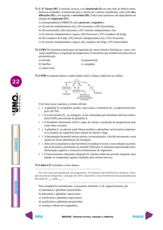 BIOLOGIA - Sistemas nervoso, muscular e endócrino
IMPRIMIR
Voltar
GABARITO
Avançar
22
71. U. F. Viçosa-MG A insulina começa a ser sintetizada (I) em uma rede de túbulos mem-
branosos achatados; é transferida para o interior de cisternas empilhadas, onde sofre mo-
dificações (II) e, em seguida, é secretada (III). Todos esses processos são dependentes de
energia da respiração (IV).
A correspondência CORRETA entre processo e organela é:
a) (I) retículo endoplasmático liso, (II) lisossomo e (III) mitocôndria.
b) (II) mitocôndria, (III) lisossomo e (IV) retículo endoplasmático liso.
c) (I) retículo endoplasmático rugoso, (III) lisossomo e (IV) complexo de Golgi.
d) (II) complexo de Golgi, (III) retículo endoplasmático liso e (IV) lisossomo.
e) (I) retículo endoplasmático rugoso, (II) complexo de Golgi e (IV) mitocôndria.
72. UFRS Os hormônios participam da regulação de várias funções fisiológicas, como a ati-
vação metabólica e a regulação da temperatura. O hormônio que modula estes processos é
produzido pela:
a) tireóide. d) paratireóide.
b) hipófise. e) amígdala.
c) supra-renal.
73. UFPR O esquema abaixo contém dados sobre a função endócrina na mulher:
Com base nesse esquema, é correto afirmar:
( ) A glândula X, ou hipófise, produz, entre outros, o hormônio H1
, ou adrenocorticotró-
pico (ACTH).
( ) O ovário produz H2
, ou estrógeno, se for estimulado pelo hormônio folículo-estimu-
lante (FSH), proveniente da glândula X.
( ) O hormônio luteinizante (LH) é capaz de manter a produção de progesterona pelo
corpo lúteo ovariano.
( ) A glândula Z, ou adrenal, pode liberar também a adrenalina, um hormônio importan-
te no preparo do organismo para reações de alarme e fuga.
( ) A descamação da parede interna uterina, ou menstruação, é devida unicamente a uma
queda nos níveis plasmáticos de estrógeno.
( ) Altos níveis plasmáticos dos hormônios tireoidianos levam a uma redução na produ-
ção do hormônio estimulante da tireóide (TSH) por X, fenômeno denominado retro-
alimentação negativa e essencial na homeostase do organismo.
( ) O funcionamento altamente integrado do sistema endócrino permite respostas mais
rápidas se comparadas àquelas mediadas pelo sistema nervoso.
74. Unifor-CE Considere o texto abaixo.
“Em uma cutia perseguida por uma jaguatirica, há aumento dos batimentos cardíacos, eleva-
ção da pressão sangüínea e elevação do ritmo respiratório. Esses fenômenos são produzidos pela
liberação de ___ pelas ___.”
Para completá-lo corretamente, é necessário substituir I e II, respectivamente, por
a) adrenalina e glândulas paratireóides.
b) adrenalina e glândulas supra-renais.
c) acetilcolina e glândulas supra-renais.
d) acetilcolina e glândulas paratireóides.
e) insulina e ilhotas de Langerhans.
TSH
LH FSH
H1
OVÁRIO
X
TIREÓIDE
TIROXINA
H2
determina as
características
sexuais secundárias
femininas
{
X
CORTISOL
 