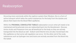 Reabsorption
Occurring more commonly within the nephron system than filtration, this is a form of
active transport which takes the useful substances for the body from the tubules and
places them back into the blood filled capillaries.
Within the PROXIMAL CONVOLUTED TUBULE reabsorption occurs when pH needs to be
maintained and bicarbonate ions are reabsorbed back into the bloodstream. Glucose,
Amino Acids and Potassium Ions are all beneficial for the body so they are actively
transported into the blood as well. Sodium and Chlorine Ions are also moved back into
the capillaries so that some salt regulation can occur. On the other end of the scale,
substances such as hydrogen ions and toxins are actively secreted from the blood into
the tubule.
 