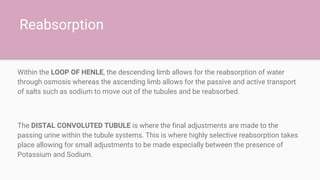 Reabsorption
Within the LOOP OF HENLE, the descending limb allows for the reabsorption of water
through osmosis whereas the ascending limb allows for the passive and active transport
of salts such as sodium to move out of the tubules and be reabsorbed.
The DISTAL CONVOLUTED TUBULE is where the final adjustments are made to the
passing urine within the tubule systems. This is where highly selective reabsorption takes
place allowing for small adjustments to be made especially between the presence of
Potassium and Sodium.
 