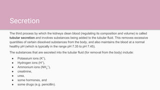 Secretion
The third process by which the kidneys clean blood (regulating its composition and volume) is called
tubular secretion and involves substances being added to the tubular fluid. This removes excessive
quantities of certain dissolved substances from the body, and also maintains the blood at a normal
healthy pH (which is typically in the range pH 7.35 to pH 7.45).
The substances that are secreted into the tubular fluid (for removal from the body) include:
● Potassium ions (K+
),
● Hydrogen ions (H+
),
● Ammonium ions (NH4
+
),
● creatinine,
● urea,
● some hormones, and
● some drugs (e.g. penicillin).
 