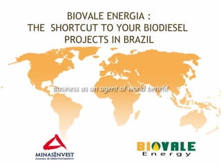 BIOVALE ENERGIA :
THE SHORTCUT TO YOUR BIODIESEL
      PROJECTS IN BRAZIL