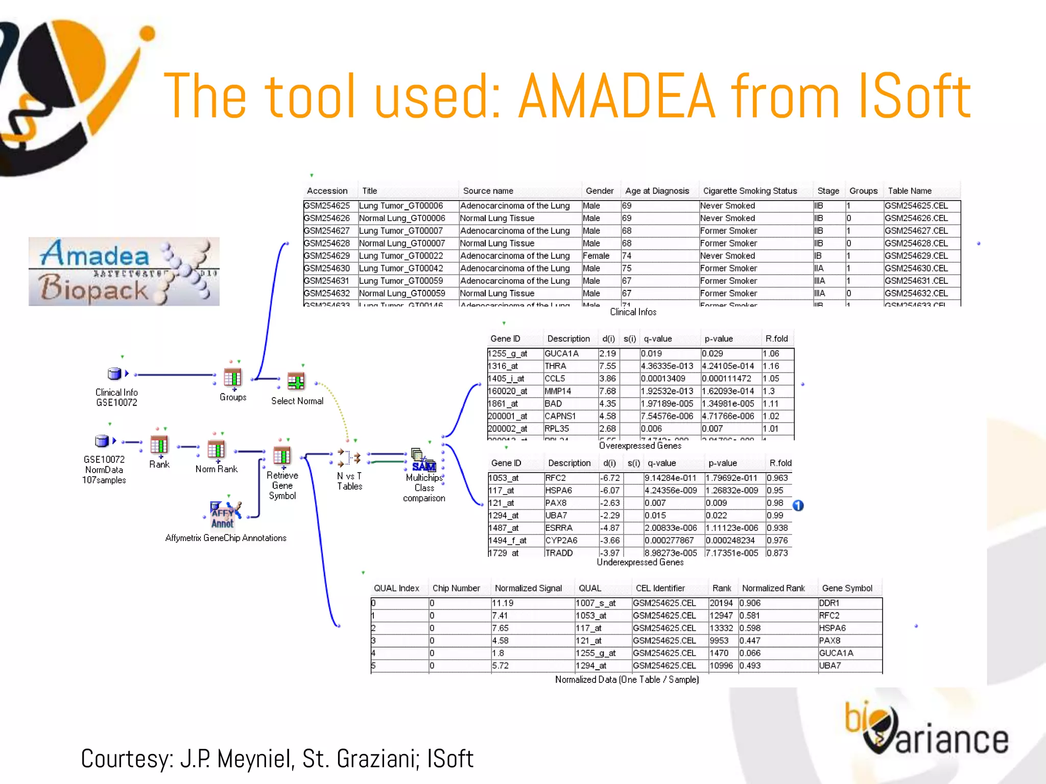The tool used: AMADEA from ISoft




Courtesy: J.P Meyniel, St. Graziani; ISoft
             .
 