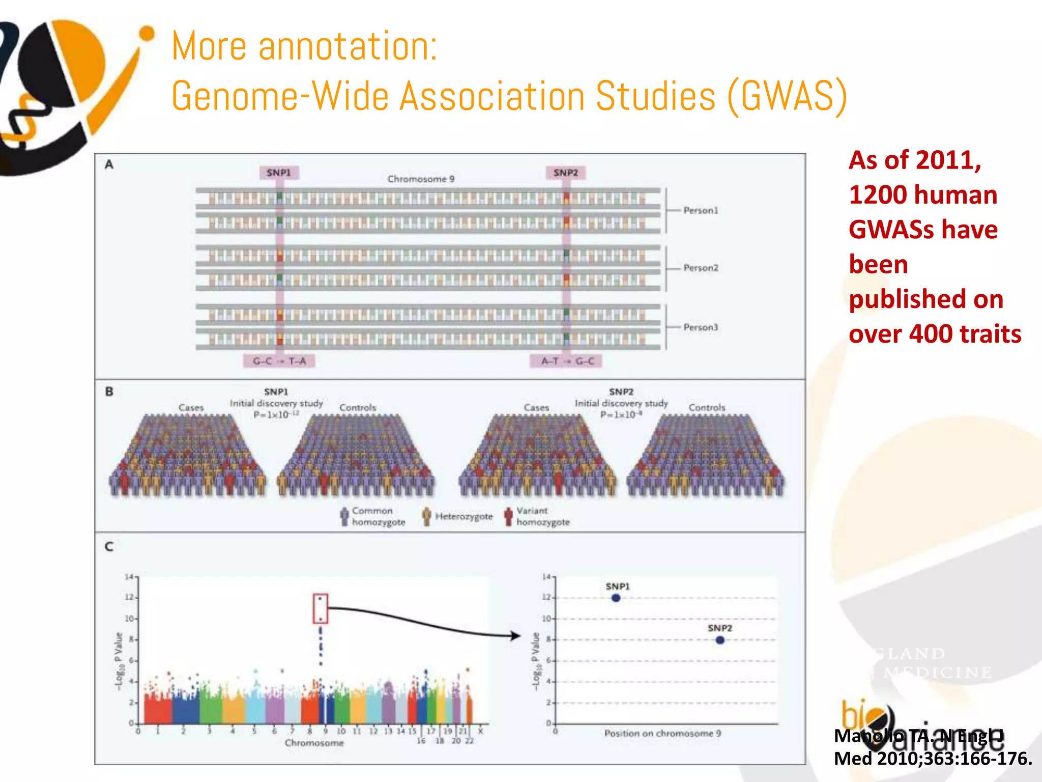 More annotation:
Genome-Wide Association Studies (GWAS)
                                      As of 2011,
                                      1200 human
                                      GWASs have
                                      been
                                      published on
                                      over 400 traits




                                     Manolio TA. N Engl J
                                     Med 2010;363:166-176.
 
