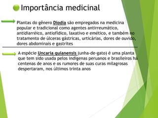 Importância medicinal
Plantas do gênero Diodia são empregados na medicina
popular e tradicional como agentes antirreumático,
antidiarréico, antiofídico, laxativo e emético, e também no
tratamento de úlceras gástricas, urticárias, dores de ouvido,
dores abdominais e gastrites
A espécie Uncaria quianensis (unha-de-gato) é uma planta
que tem sido usada pelos indígenas peruanos e brasileiros há
centenas de anos e os rumores de suas curas milagrosas
despertaram, nos últimos trinta anos
 