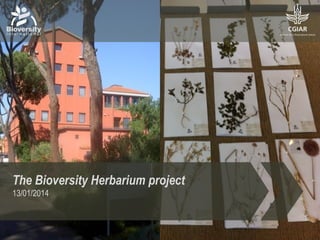 The Bioversity Herbarium project
13/01/2014

 
