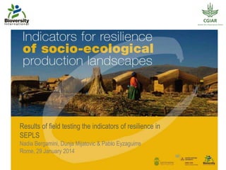 Results of field testing the indicators of resilience in
SEPLS
Nadia Bergamini, Dunja Mijatovic & Pablo Eyzaguirre
Rome, 29 January 2014

 
