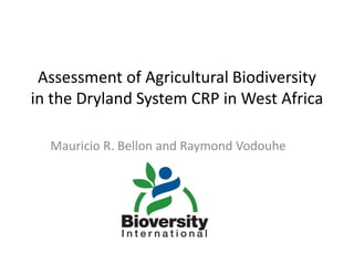 Assessment of Agricultural Biodiversity
in the Dryland System CRP in West Africa
Mauricio R. Bellon and Raymond Vodouhe
 
