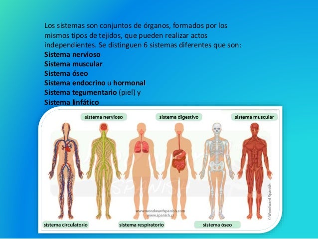 Etapa 1 Biologia II UANL