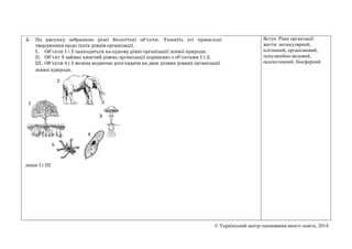© Український центр оцінювання якості освіти, 2014
Вступ. Рівні організації
життя: молекулярний,
клітинний, організмовий,
...