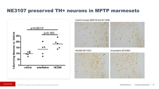 ©2023 BioVie Inc. I Corporate presentation
Note: NE3107 was originally known as HE3286 from Hollis Eden Pharmaceuticals
NE3107 preserved TH+ neurons in MPTP marmosets
57
Control moneys (M09100 and M11008)
HE3286 (M11007) Amantadine (M10084)
 