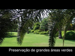 Preservação de grandes áreas verdes
 
