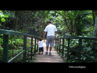 Trilha ecológica
 