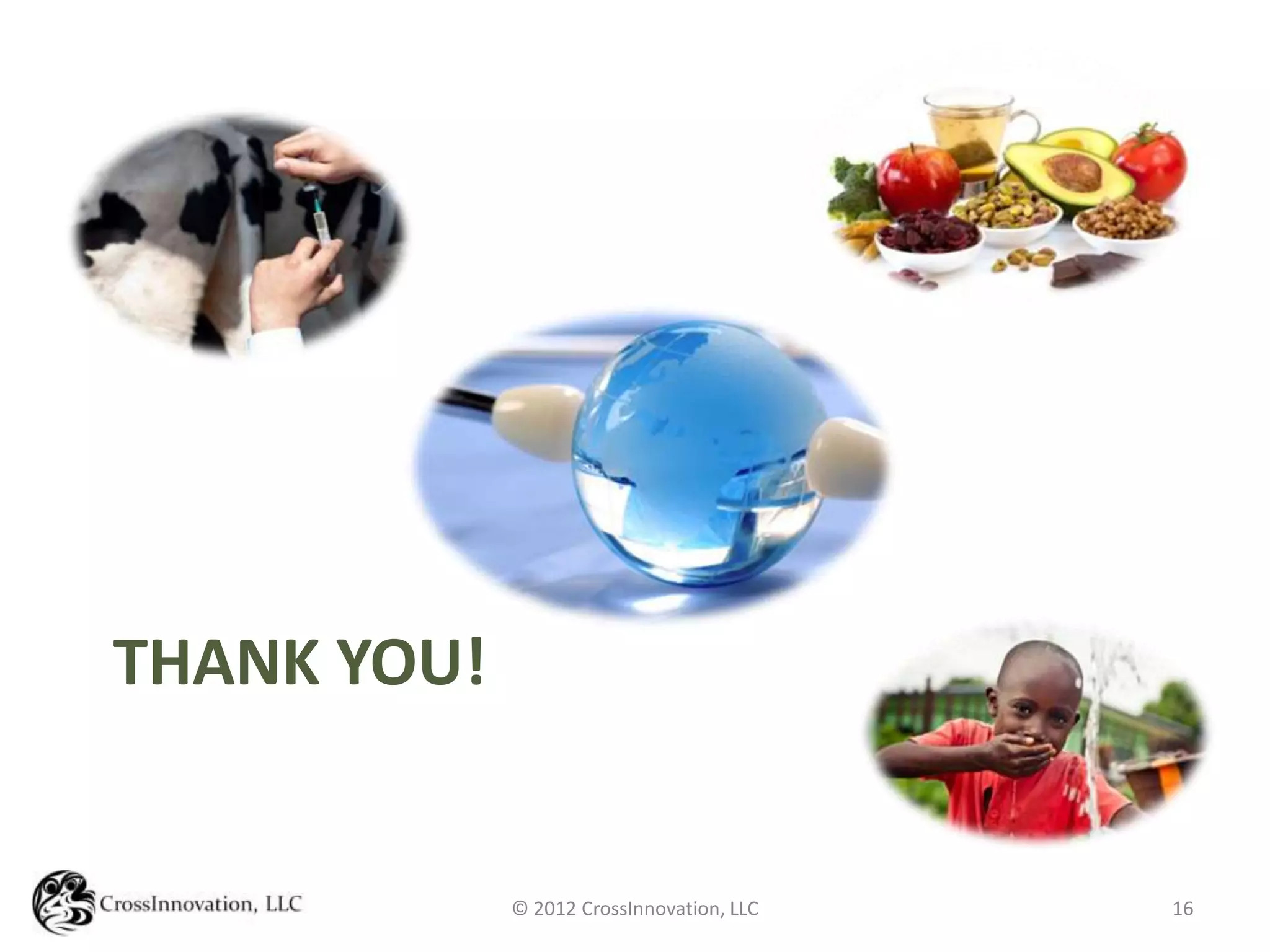 THANK YOU!


             © 2012 CrossInnovation, LLC   16
 