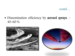 contd…
 Dissemination efficiency by aerosol sprays. –
40-60 %.
 