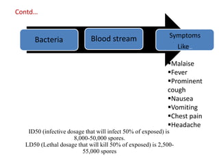 ID50 (infective dosage that will infect 50% of exposed) is
8,000-50,000 spores.
LD50 (Lethal dosage that will kill 50% of exposed) is 2,500-
55,000 spores
Bacteria Blood stream Symptoms
Like…
Malaise
Fever
Prominent
cough
Nausea
Vomiting
Chest pain
Headache
Contd…
 