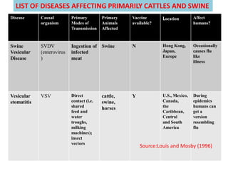 Disease Causal
organism
Primary
Modes of
Transmission
Primary
Animals
Affected
Vaccine
available?
Location Affect
humans?
Swine
Vesicular
Disease
SVDV
(enterovirus
)
Ingestion of
infected
meat
Swine N Hong Kong,
Japan,
Europe
Occasionally
causes flu
like
illness
Vesicular
stomatitis
VSV Direct
contact (i.e.
shared
feed and
water
troughs,
milking
machines);
insect
vectors
cattle,
swine,
horses
Y U.S., Mexico,
Canada,
the
Caribbean,
Central
and South
America
During
epidemics
humans can
get a
version
resembling
flu
Source:Louis and Mosby (1996)
LIST OF DISEASES AFFECTING PRIMARILY CATTLES AND SWINE
 