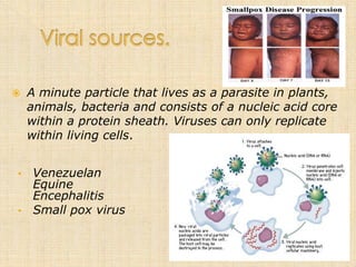    A minute particle that lives as a parasite in plants,
    animals, bacteria and consists of a nucleic acid core
    within a protein sheath. Viruses can only replicate
    within living cells.


•    Venezuelan
     Equine
     Encephalitis
•    Small pox virus
 