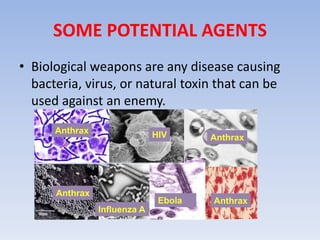 SOME POTENTIAL AGENTS 
• Biological weapons are any disease causing 
bacteria, virus, or natural toxin that can be 
used against an enemy. 
Anthrax 
Anthrax 
Anthrax 
Anthrax 
HIV 
Ebola 
Influenza A 
 