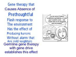 Causes Absence of
Germline gene therapy
with gene drive
establishes this effect
 