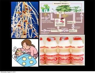 Wednesday, August 15, 2012
 