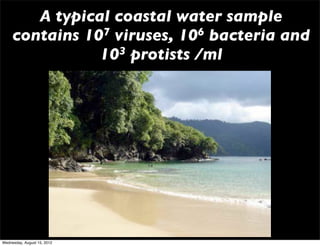 A typical coastal water sample
     contains 10 7 viruses, 106 bacteria and

                10  3 protists /ml




Wednesday, August 15, 2012
 