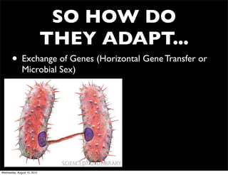 SO HOW DO
                             THEY ADAPT...
       • Exchange of Genes (Horizontal Gene Transfer or
              Microbial Sex)




Wednesday, August 15, 2012
 