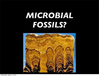 MICROBIAL
                              FOSSILS?




Wednesday, August 15, 2012
 