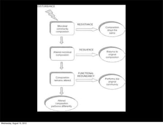 Wednesday, August 15, 2012
 