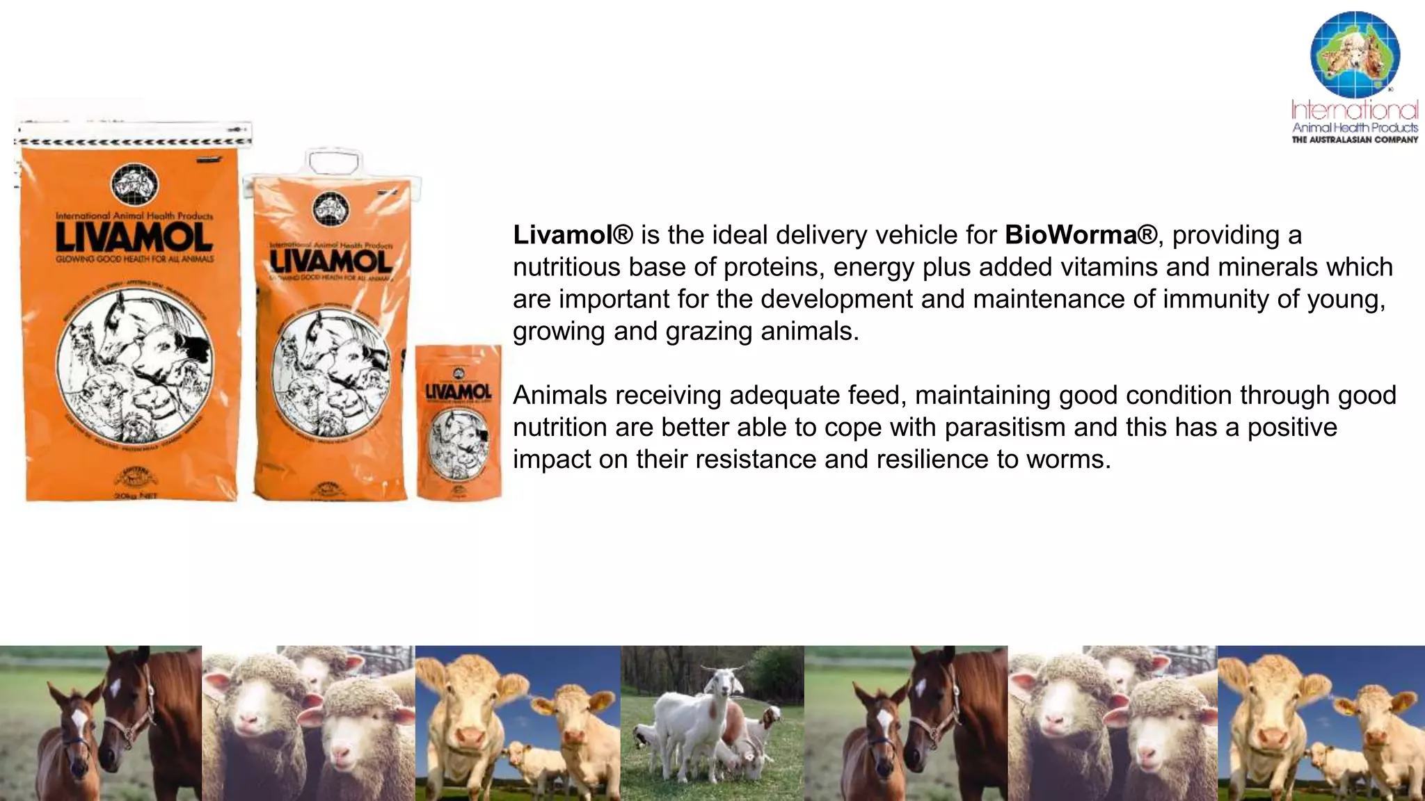 Livamol® is the ideal delivery vehicle for BioWorma®, providing a
nutritious base of proteins, energy plus added vitamins and minerals which
are important for the development and maintenance of immunity of young,
growing and grazing animals.
Animals receiving adequate feed, maintaining good condition through good
nutrition are better able to cope with parasitism and this has a positive
impact on their resistance and resilience to worms.
 