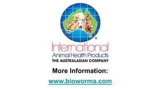 BioWorma
