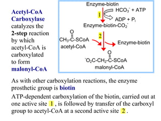 Biosynthesis of fatty acids --Sir Khalid (Biochem) | PPT