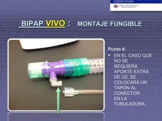 BIPAP VIVO

:

MONTAJE FUNGIBLE

Punto 4:
 EN EL CASO QUE
NO SE
REQUIERA
APORTE EXTRA
DE O2, SE
COLOCARÁ UN
TAPON AL
CONECTOR
EN LA
TUBULADURA.

 