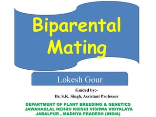 Biparental
Mating
Lokesh Gour
DEPARTMENT OF PLANT BREEDING & GENETICS
JAWAHARLAL NEHRU KRISHI VISHWA VIDYALAYA
JABALPUR , MADHYA PRADESH (INDIA)
Guided by:-
Dr. S.K. Singh, Assistant Professor
 