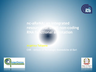 CNR – Istituto di Tecnologie Biomediche di Bari
nc-aReNA: an integrated
resource for small non-coding
RNA functional annotation
Angelica Tulipano
 