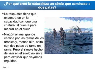 ¿Por qué creó la naturaleza un simio que caminase a
                      dos patas?
 La respuesta tiene que
  encontrarse en la
  capacidad con que una
  criatura tal cuente para
  medrar en el suelo.
 Ningún animal grande
  camina por las ramas de los
  árboles y, menos aún, salta
  con dos patas de rama en
  rama. Pero el simple hecho
  de vivir en el suelo no sirve
  para explicar que vayamos
  erguidos.
Page  11
 