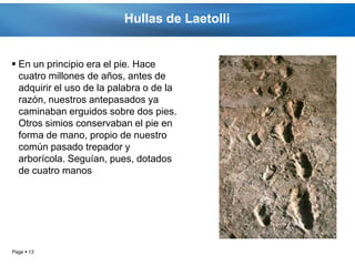 Hullas de Laetolli


 En un principio era el pie. Hace
  cuatro millones de años, antes de
  adquirir el uso de la palabra o de la
  razón, nuestros antepasados ya
  caminaban erguidos sobre dos pies.
  Otros simios conservaban el pie en
  forma de mano, propio de nuestro
  común pasado trepador y
  arborícola. Seguían, pues, dotados
  de cuatro manos




Page  13
 