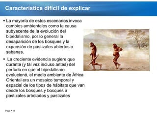 Característica difícil de explicar

 La mayoría de estos escenarios invoca
  cambios ambientales como la causa
  subyacente de la evolución del
  bipedalismo, por lo general la
  desaparición de los bosques y la
  expansión de pastizales abiertos o
  sabanas.
 La creciente evidencia sugiere que
 durante (y tal vez incluso antes) del
 período en que el bipedalismo
 evolucionó, el medio ambiente de África
 Oriental era un mosaico temporal y
 espacial de los tipos de hábitats que van
 desde los bosques y bosques a
 pastizales arbolados y pastizales


 Page  15
 