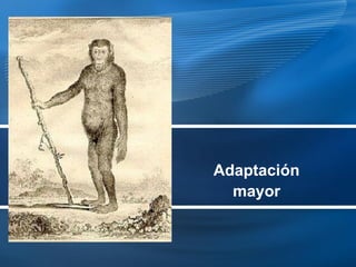 Adaptación
  mayor
 
