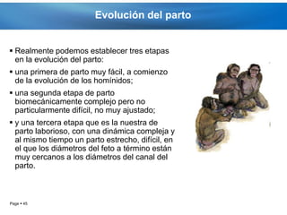 Evolución del parto


 Realmente podemos establecer tres etapas
  en la evolución del parto:
 una primera de parto muy fácil, a comienzo
  de la evolución de los homínidos;
 una segunda etapa de parto
  biomecánicamente complejo pero no
  particularmente difícil, no muy ajustado;
 y una tercera etapa que es la nuestra de
  parto laborioso, con una dinámica compleja y
  al mismo tiempo un parto estrecho, difícil, en
  el que los diámetros del feto a término están
  muy cercanos a los diámetros del canal del
  parto.



Page  45
 