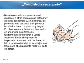 ¿Cómo afecta eso al parto?


 Nosotros en esto nos parecemos al
  macaco y a otros primates que están muy
  alejados del hombre y, sin embargo, los
  parientes más cercanos y los primeros
  homínidos tienen un parto muy holgado.
  En el parto en una hembra chimpancé y
  en una mujer las diferencias
  fundamentales se refieren a varios
  aspectos. En los chimpancés la
  trayectoria durante el parto es lineal, el
  feto a término describe en su «viaje» una
  trayectoria absolutamente recta y el parto
  es dorsal.



Page  49
 