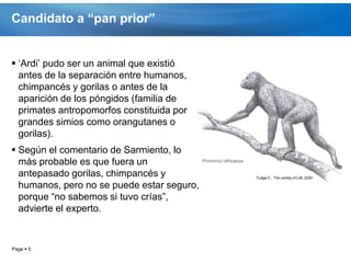 Candidato a “pan prior”


 ‘Ardi’ pudo ser un animal que existió
  antes de la separación entre humanos,
  chimpancés y gorilas o antes de la
  aparición de los póngidos (familia de
  primates antropomorfos constituida por
  grandes simios como orangutanes o
  gorilas).
 Según el comentario de Sarmiento, lo
  más probable es que fuera un
  antepasado gorilas, chimpancés y
  humanos, pero no se puede estar seguro,
  porque “no sabemos si tuvo crías”,
  advierte el experto.



Page  5
 