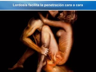 Lordosis facilita la penetración cara a cara




Page  53
 
