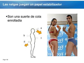 Las nalgas juegan un papel estabilizador



     Son una suerte de cola
      enrolladla




Page  58
 